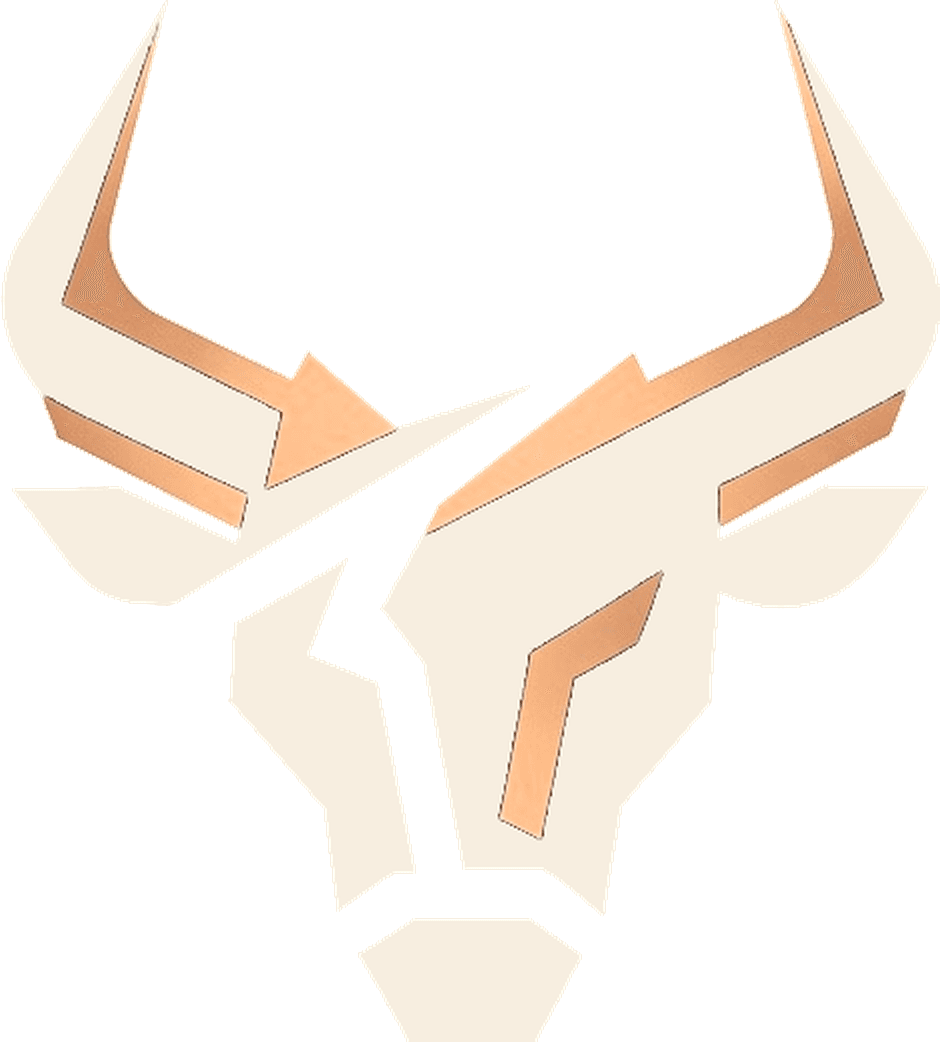 Elusive Innovations logo